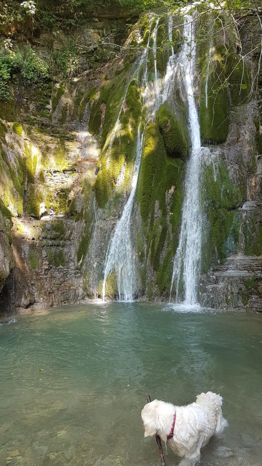 Alloggio Petrigh Canal di Grivo Exterior foto